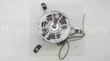10151202 Titus Hvac 1/3Hp 277V Ccw Right Hand Mtr