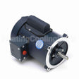 102865 Leeson Motor