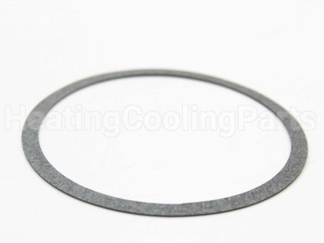 106049-000 Armstrong Fluid Technology Body Gasket