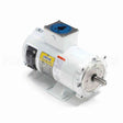 108226 Leeson Motor