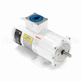 108229 Leeson Motor