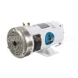 109303 Leeson Motor