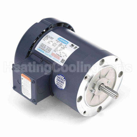 110163 Leeson Motor
