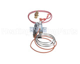 110854 Reznor Pilot Assy, Spark Ign, Lp Gas