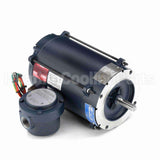 111075 Leeson Motor