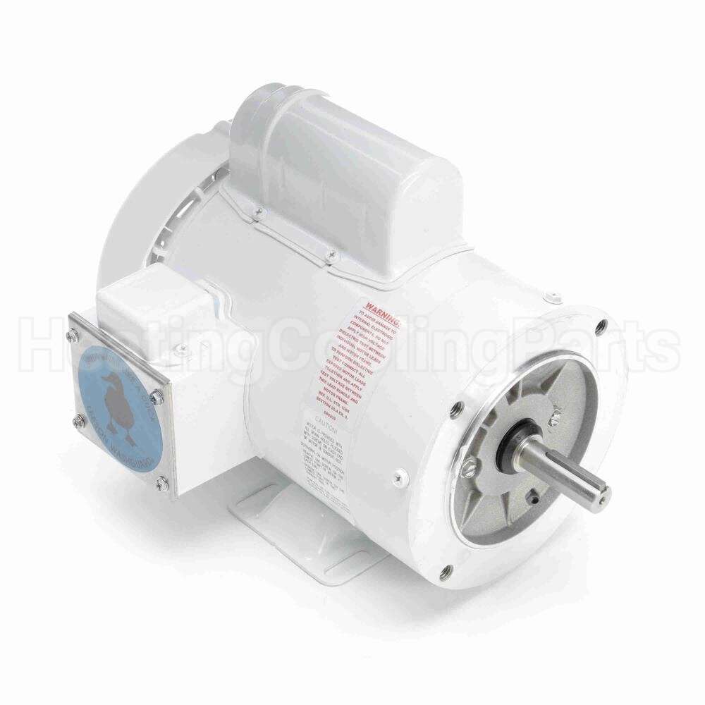 113584 Leeson Motor