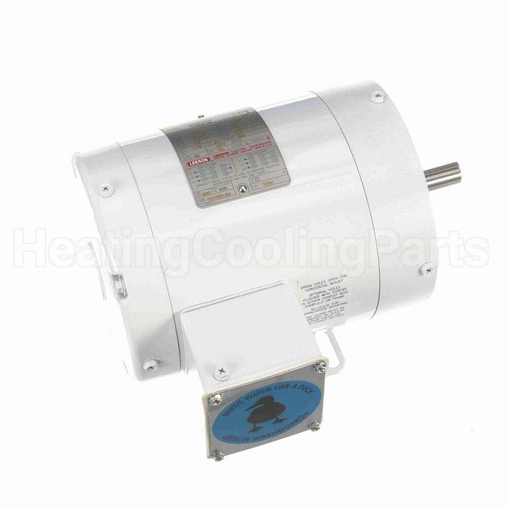 113587 Leeson Motor