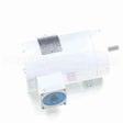 113591 Leeson Motor