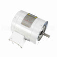 113649 Leeson Motor