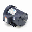 114618 Leeson Motor