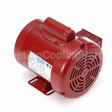 116486 Leeson Motor