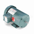 116759 Leeson Motor