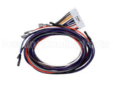 1171523 International Comfort Products Wiring Harness