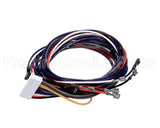 1171523 International Comfort Products Wiring Harness