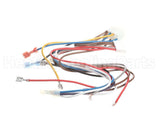 1171698 International Comfort Products Harness-Control Board