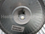 1171741 International Comfort Products Blower Wheel 10X9X1/2 Cw