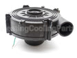 1172823 International Comfort Products Inducer Assembly