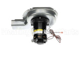 1176051 International Comfort Products Blw Asy (Idf) 460V 1