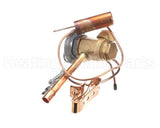 1176878 International Comfort Products Txv