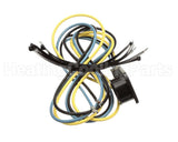 1177140 International Comfort Products Compressor Plug