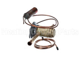 1177748 International Comfort Products 4Ton Expansion Valve