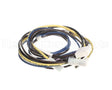 1178160 International Comfort Products Compressor Harness Cl01/Comp1