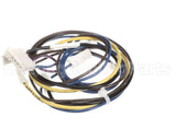 1178160 International Comfort Products Compressor Harness Cl01/Comp1