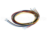1178229 International Comfort Products Harness Asy Ifm
