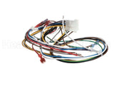 1178976 International Comfort Products Harness Assembly Ecmx