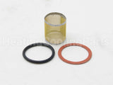 118036 Xylem-Bell & Gossett Strainer And Gasket