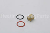 118036 Xylem-Bell & Gossett Strainer And Gasket