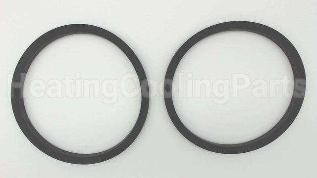 118129 Xylem-Bell & Gossett Flg Gasket Set 2.5 & 3" Pump