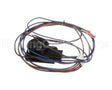 1185260 International Comfort Products Harness Asy Comp Solenoid
