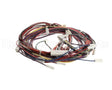 1188380 International Comfort Products Harness Asy (Yac Ctrl)