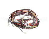 1188380 International Comfort Products Harness Asy (Yac Ctrl)