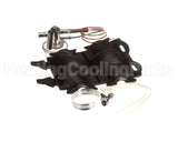 1190805 International Comfort Products Txv