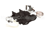 1190805 International Comfort Products Txv