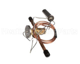 1191183 International Comfort Products Valve Txv