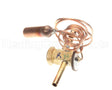 1191310 International Comfort Products Txv