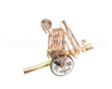 1191310 International Comfort Products Txv