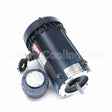 119428 Leeson Motor