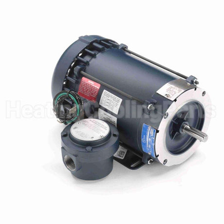 119436 Leeson Motor