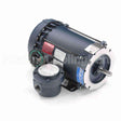 119436 Leeson Motor