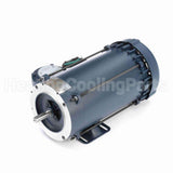 119437 Leeson Motor