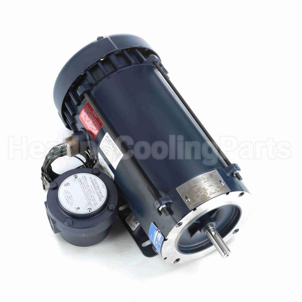 119440 Leeson Motor