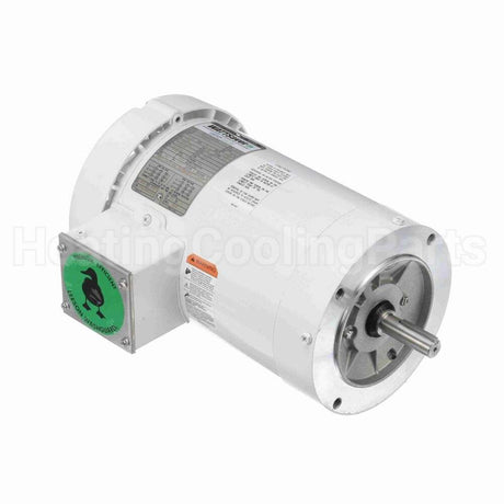 119469 Leeson Motor