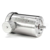 119499 Leeson Motor