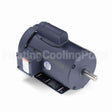 120036 Leeson Motor