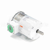 121865 Leeson Motor