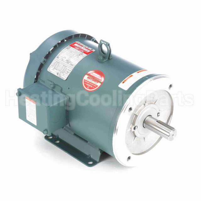 131502 Leeson Motor